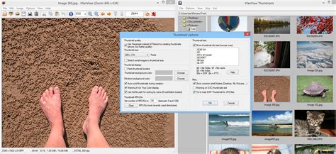 IrfanView Software 的图像结果