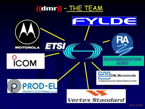 DMR Program 的图像结果