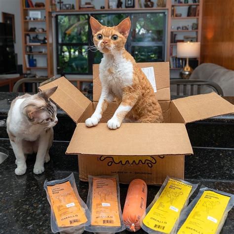 Smalls Cat Food Review - Must Read This Before Buying