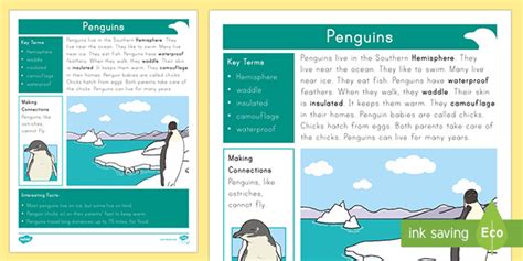 Kindergarten Penguins Fact File | Printables | Twinkl USA