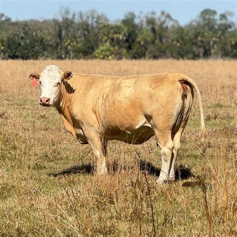 WALTON RANCH PRESERVE - All You Need to Know BEFORE You Go 2026 (with ...