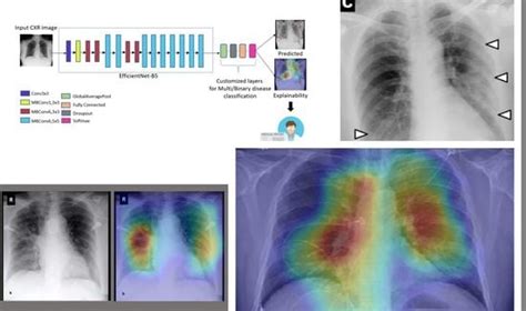 BDCC | Special Issue : COVID-19: Medical Internet of Things and Big ...