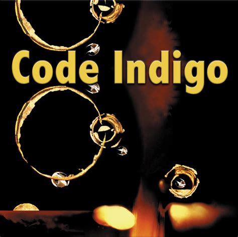 Coding Indigo Code 的图像结果