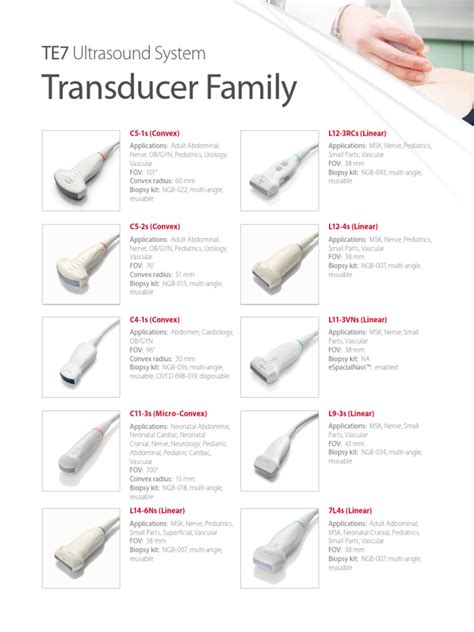 Image result for Mindray Te7 Measurements Tutorial