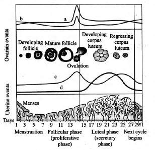 Recognise the figure and find out the correct matching