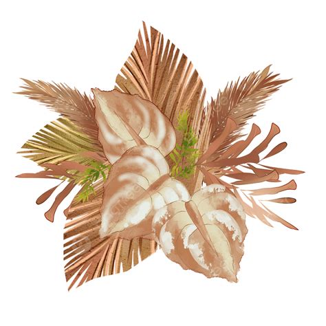 Pampas Grass Watercolor Plant, Pampas Grass, Watercolor, Plant PNG ...