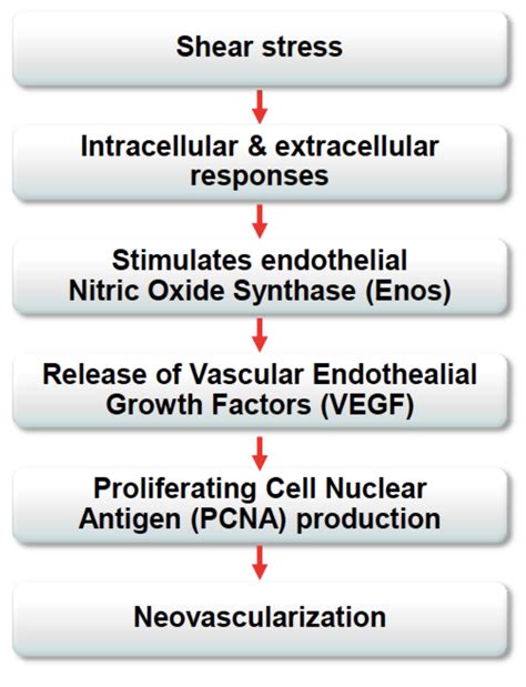 Image result for Gainswave Machine Tips