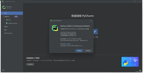 PyCharm Professional 的图像结果