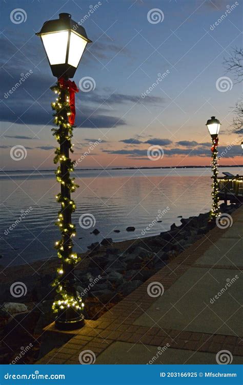 Christmas Lamp Post stock image. Image of lights, tree - 203166925
