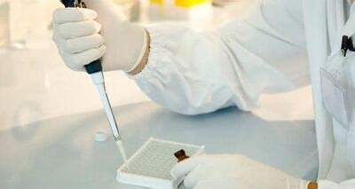 Can stem cell therapy cure peripheral nerve injury? | TheHealthSite.com