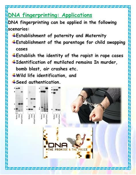 Image result for DNA Fingerprinting Class 12 Experiment