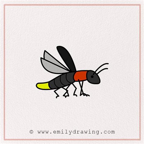 How to Draw a Firefly - Emily Drawing