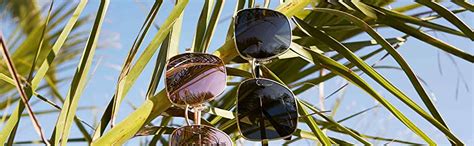 Buy Polaroid Polarized Square Unisex Sunglasses - (PLD 6060/S 2F7 57M9 ...