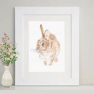 Image result for Photos or Art of Rabbit in the Wild