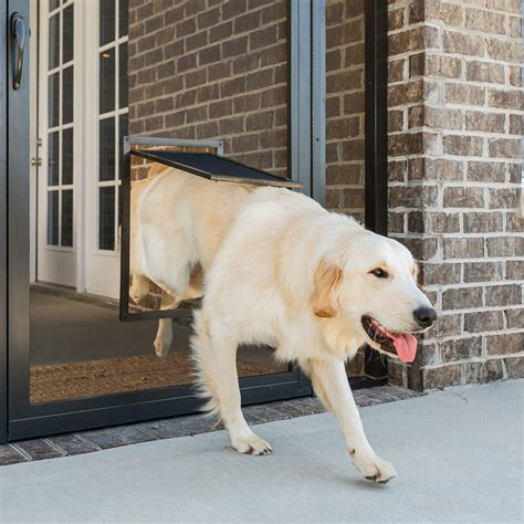 Large dog doors for screen enclosures online