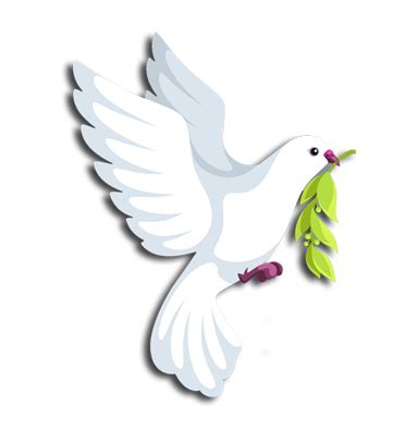 Hema Enterprises |+91 7794904022, 9703739442