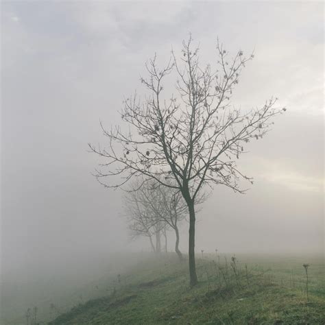 Meteorology | Types of Fog | The Simple Things