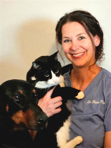 Veterinarian In Inman, SC 29349 | Inman Animal Hospital