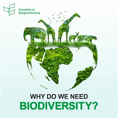 Biodiversity With Pictures