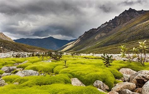 Gates Of The Arctic National Park and Preserve Photos - Featured Images ...