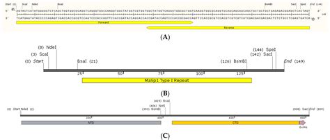 Quantitative Shotgun Proteomic Analysis of Bacteria after Overexpression of Recombinant Spider ...
