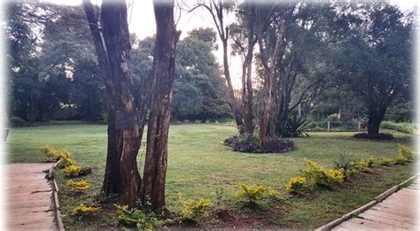 The 10 Best Hotels in Karen 2022 (with Prices) - Tripadvisor