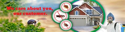 pest control in chennai, pest control services in chennai, pre ...