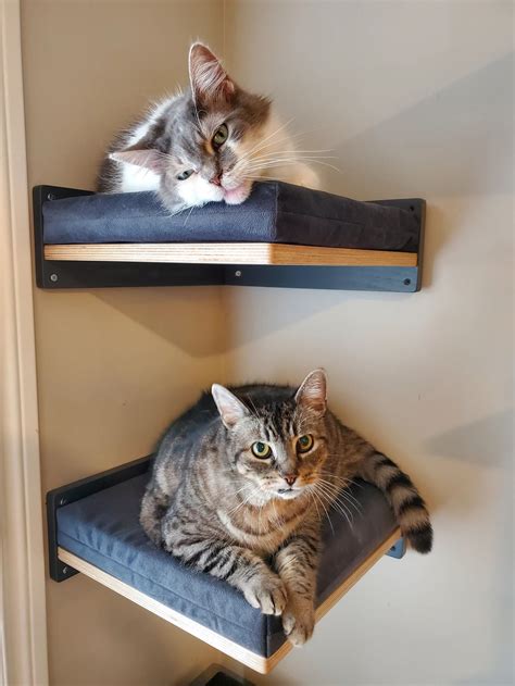 Wally Corner, Wall Mounted Cat Shelf With a Cushion on Top - Etsy | Cat ...