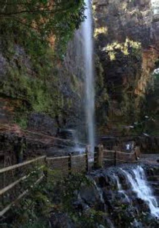 Talakona Waterfall (Tirupati) - What to Know Before You Go - TripAdvisor