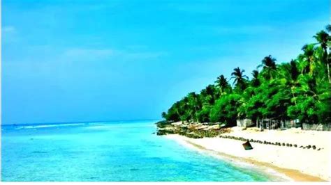 'Political motive behind MPs' visit to Lakshadweep, it will create law ...