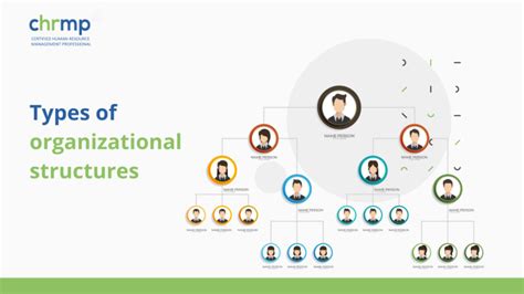 Label the Organizational Structure 的图像结果