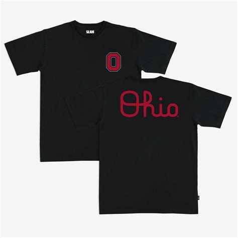 Rezultat imagine pentru Script Ohio History