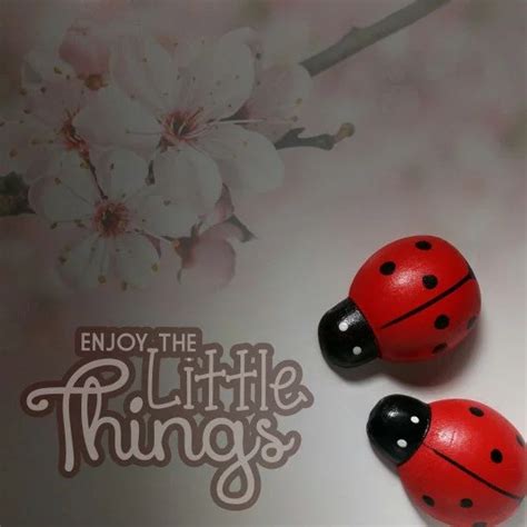 Enjoy The Little Things
