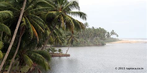 Kappil Beach and Backwaters