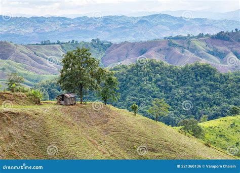 Deforestation on the Mountains for Agricultural in Thailand Stock Photo - Image of ecological ...