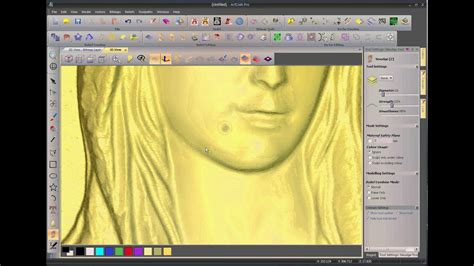 LazyCam Download 的图像结果