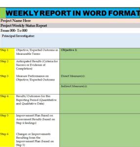 How to Make Weekly Report 的图像结果