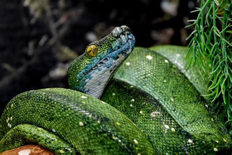 Image result for Operaciones Con Matrices Numpy Python