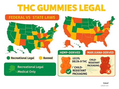 Gummy Bear or Gummy Beware – The Truth About THC Gummies Legality ...