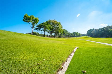 Golf 的图像结果