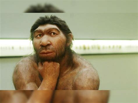 Neanderthal Devastation 的图像结果