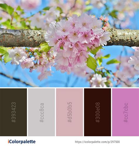 891 Cherry Blossom Color Palette ideas in 2024 | iColorpalette