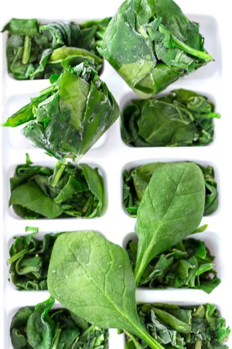 How to Freeze Spinach - The Harvest Kitchen