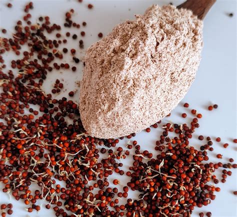 Organic Sprouted Ragi / Finger Millet Flour – Sudhantira