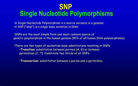 Image result for SNP Examples in Bio