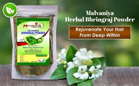 Bhringraj Powder Hair Powder for Fighting Hair Fall, 227 g by Malvaniya ...