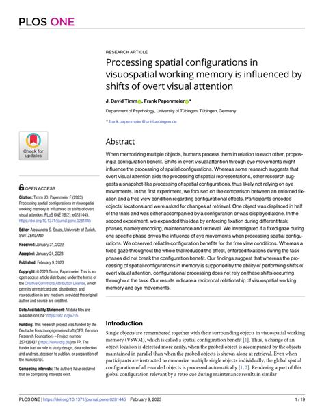 Image result for Visual Spatial Working Memory
