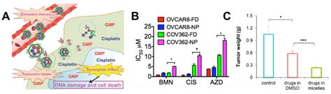 Polymeric Nanoparticle Delivery of Combination Therapy with Synergistic ...