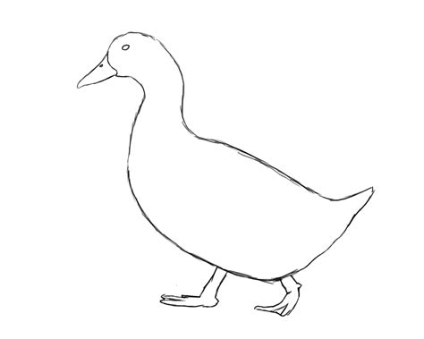 Easy Duck Drawing at GetDrawings | Free download