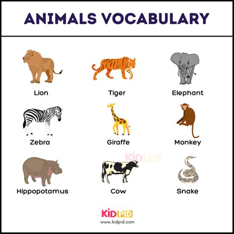 Wild Animals Images With Names For Kids